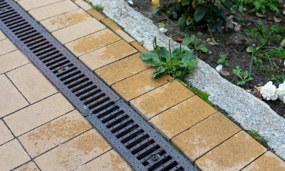The Role of Trench Drains in Landscaping